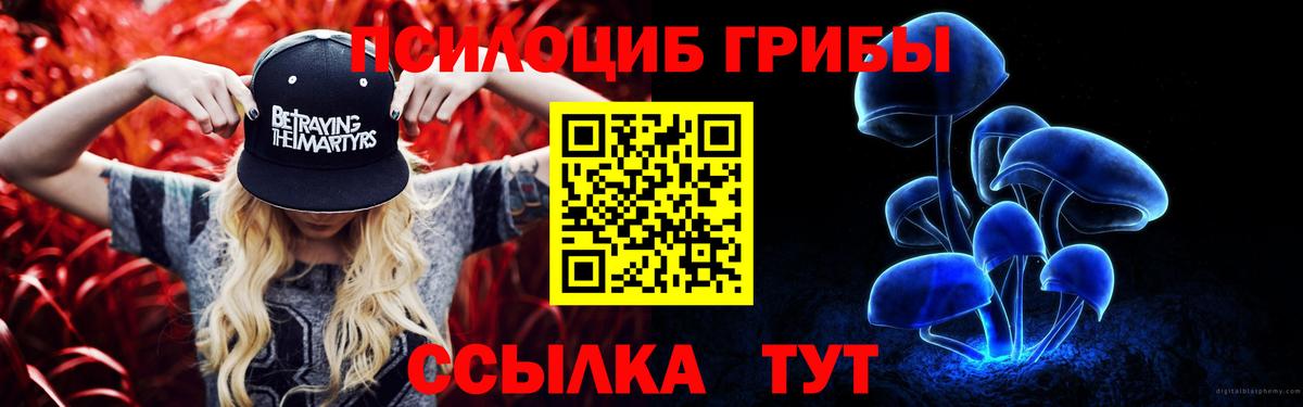 Псилоцибиновые грибы Psilocybe  Вход с VPN  Барнаул 
